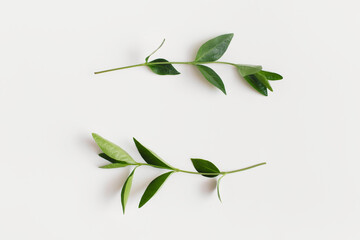 Wreath frame made of branches with green leaves on white background. Flat lay, top view, copy space.