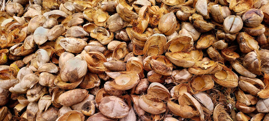 A pile of dry Coconut husk
