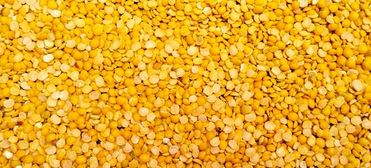 Top view of Cajanus Cajan or Arhar or Toor dal or Split Pigeon Pea or Yellow lentils