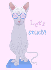 Let's study. Print with sphinx cat in glasses.