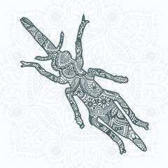 Mantis Mandala. Vintage decorative elements. Oriental pattern, vector illustration.