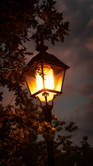 La luz en el anochecer