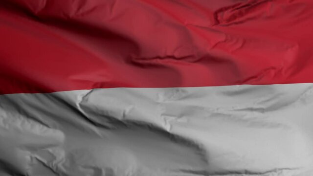 Indonesia flag seamless closeup waving animation. Indonesia Background. 3D render, 4k resolution