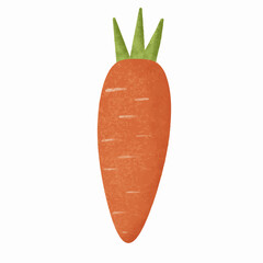 Carrot vegetable flat illustration on white background vector illustration.