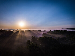 Sunrise over foggy forest