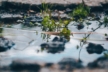 It seems to be nothing significant, but it's still very cool to find beauty even in an ordinary puddle.