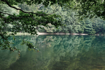 green lake in the forest in the mountains. background travel and adventure
