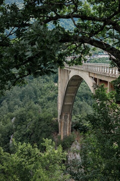arched bridge in the mountains side view through trees