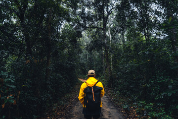 Man hiking and exploring forest area