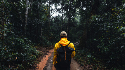 Man hiking and exploring forest area