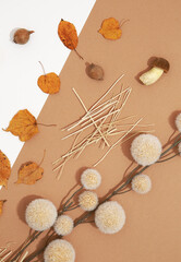 Fall Winter background. Autumn decor brunch, mushrooms and leaf.  Trendy brown and beige colours shades. Aesthetic seasonal minimal wallpaper
