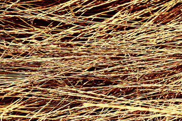 texture of dry grass, hay, under the light of the sun