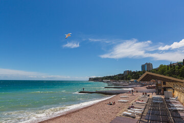 Fototapeta premium view of the beach