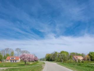 Fototapete Country road, Flevoland Province, The Netherlands © Holland-PhotostockNL