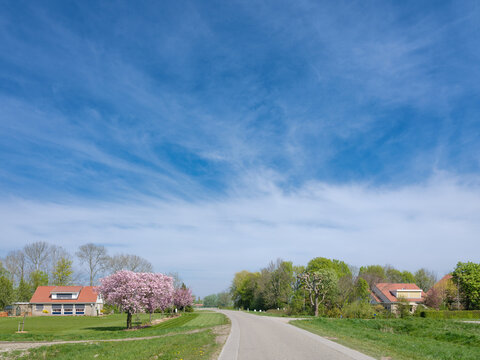 Country road, Flevoland Province, The Netherlands