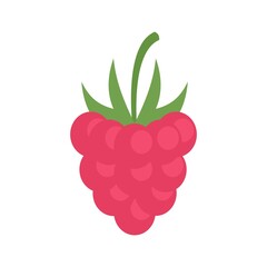Natural raspberry icon flat isolated vector