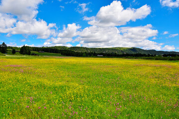 Fototapeta premium alpe di villandro It is the second largest mountain pasture in Europe tyrol italy
