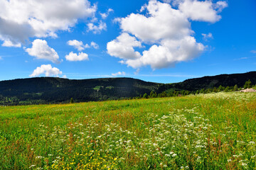 alpe di villandro It is the second largest mountain pasture in Europe tyrol italy