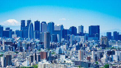 Naklejka premium 富士山と新宿副都心