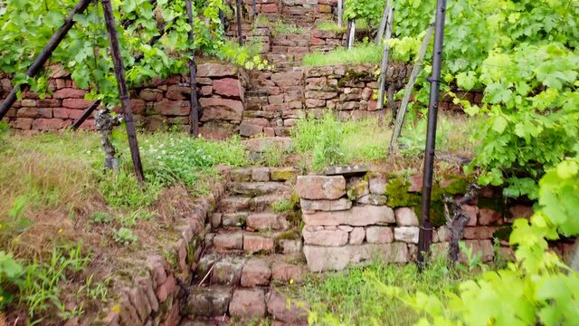 Drohnenaufnahme, Sandsteintreppe im Weinberg