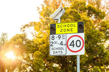 School zone sign on autumn day