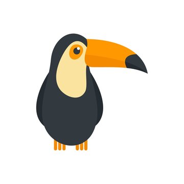 recommend clip art: Toucan bird icon flat isolated vector