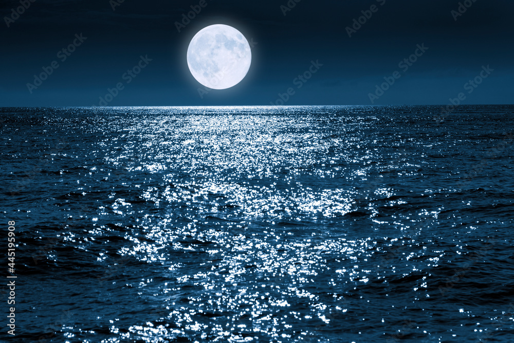 Wall mural this large full blue moon rises brightly over the calm ocean creating sparkles across the waves