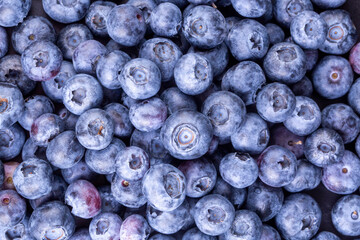 Fresh blueberry background. Texture blueberry berries close up