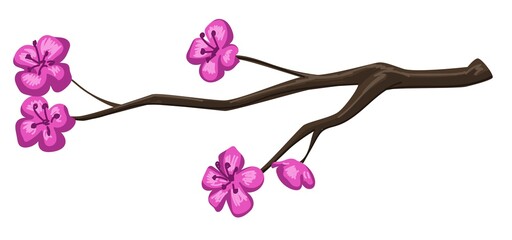 Fototapeta na wymiar Spring cherry tree blossom, branch with flowers
