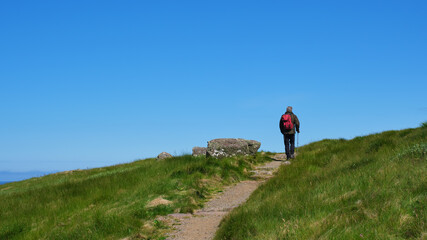 Walker on Handa Island in the Highlands