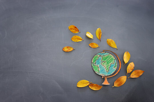 Back to school concept. Top view banner of globe with autumn dry leaves over classroom blackboard background