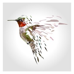 Broken Hummingbird illustration with Low polygon isolated on gray background. Modern geometric design.