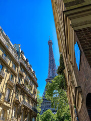 Fototapeta premium eiffel tower