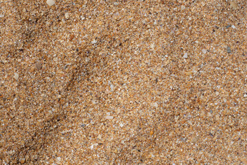 Coarse sand from seashells. Texture, template for text. Natural summer background