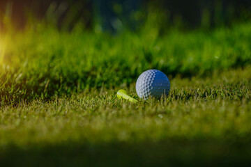 Golf ball and tee on green lawn in a beautiful golf course with morning sunshine.