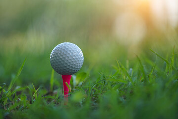 Golf ball and tee on green lawn in a beautiful golf course with morning sunshine.