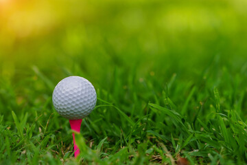 Golf ball and tee on green lawn in a beautiful golf course with morning sunshine.
