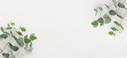 Top view image of eucalyptus composition on white wooden background .Flat lay. banner