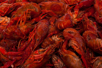 photographs of frozen seafood of all kinds and variety