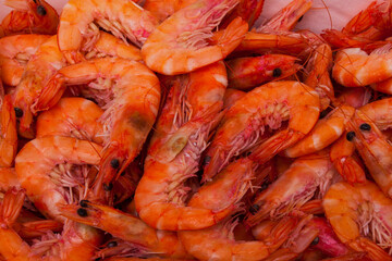 photographs of frozen seafood of all kinds and variety