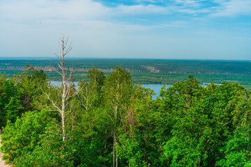 Fototapeta na wymiar Forest on the mountainside. Beautiful natural landscape of Russia near the Volga River.