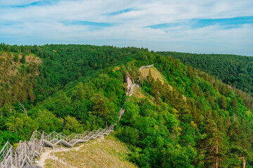 Fototapeta premium Stairs in the forest in the mountains. Beautiful natural landscape of Russia near the Volga River.