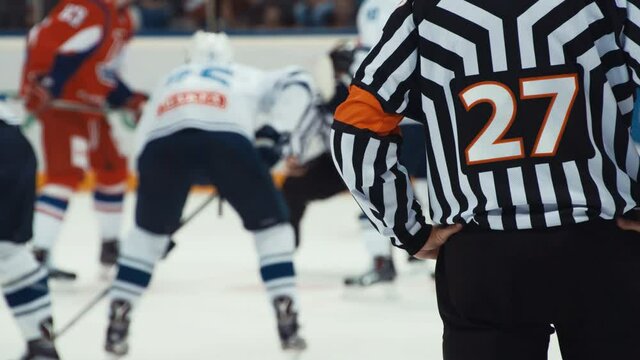 Back shot of referee on a hockey match. Ref looking at face off scene before throw-in. Very intense moment in professional sport game.