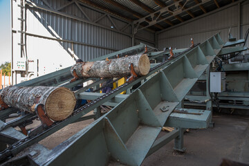 Lutsk. Ukraine. September 14, 2020 Wood processing at a sawmill. Preparation of logs for veneer production.