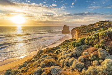 Sunset over the high cliffs and vegetation along a rugged coastline