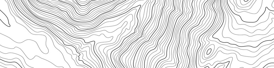 The stylized topographic map in line contours. The concept of a conditional geography scheme and the path terrain. Black on White. Ultra wide size 4:1. Isolated Object. Vector illustration.