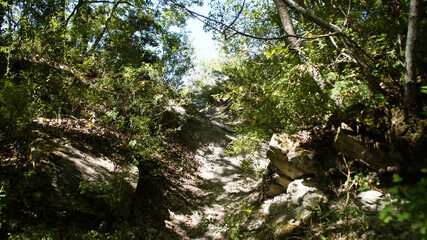 Obraz premium Rocce lungo il sentiero 390bis da Villa di Parchiule a Poggio dell'Appione in Italia