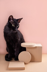 Black cat sitting near modern beige circle and square podium for product on pastel background....