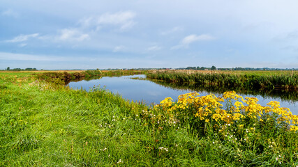 Lato w Dolinie Narwi, Podlasie, Polska © podlaski49