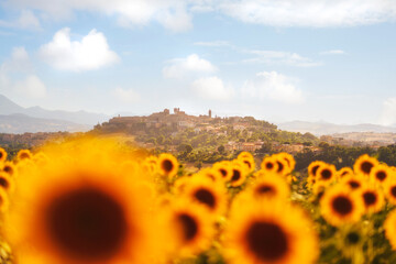 Filottrano - Le Marche